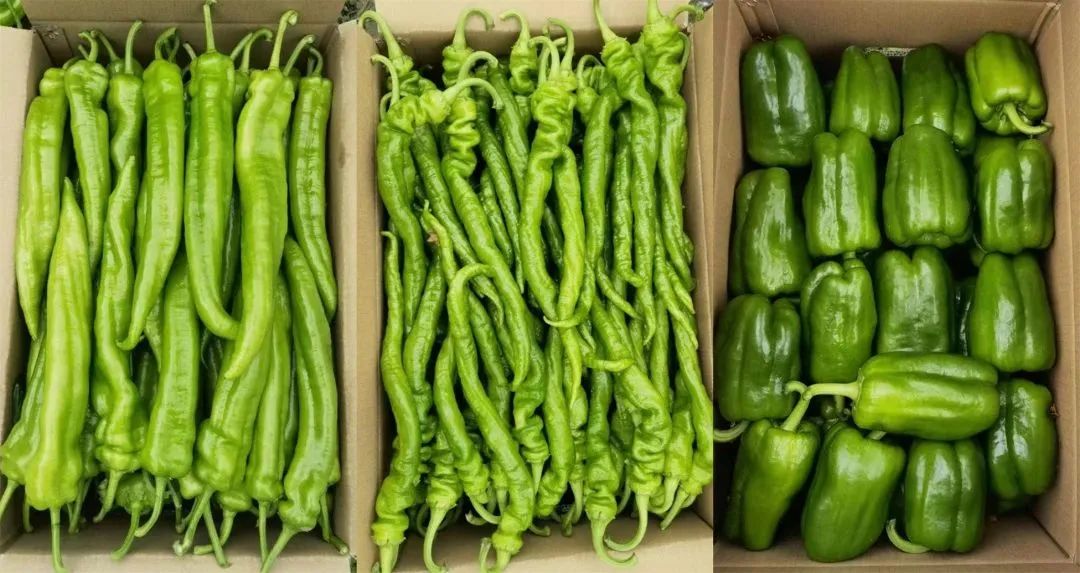 1679035196163918.jpg 微信圖片_20230317144107.jpg