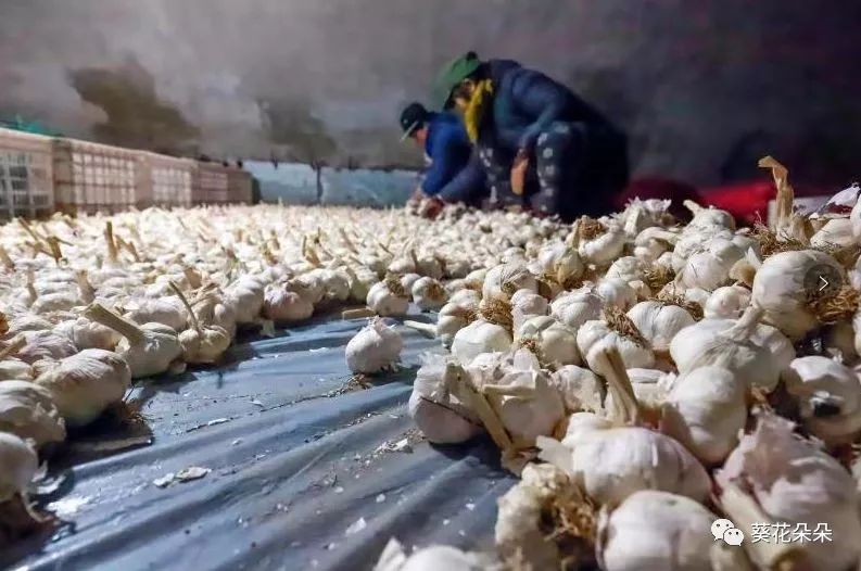 1679035477183854.jpg 微信圖片_20230317144637.jpg